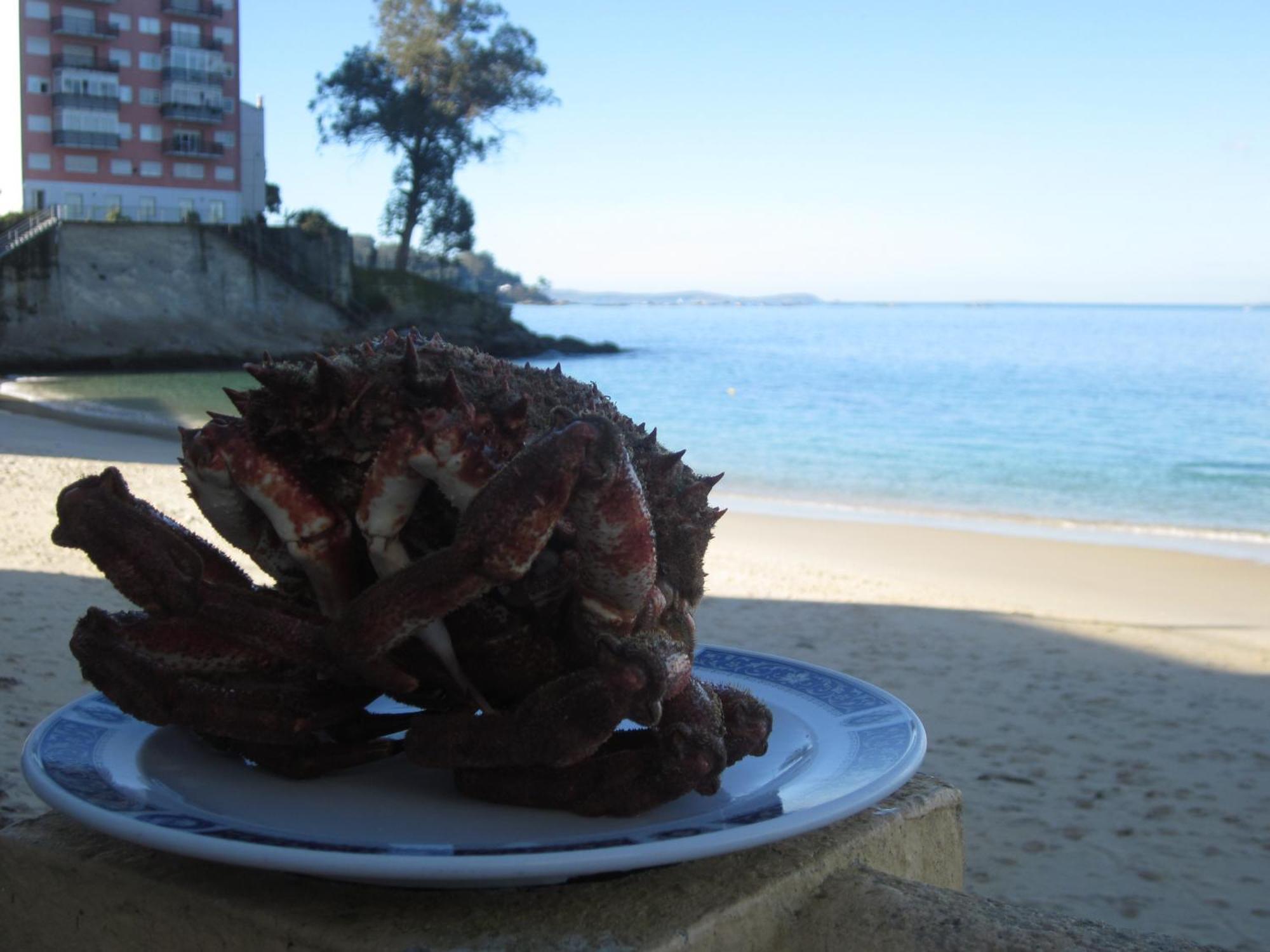 Hotel Restaurante Loureiro Bueu Dış mekan fotoğraf