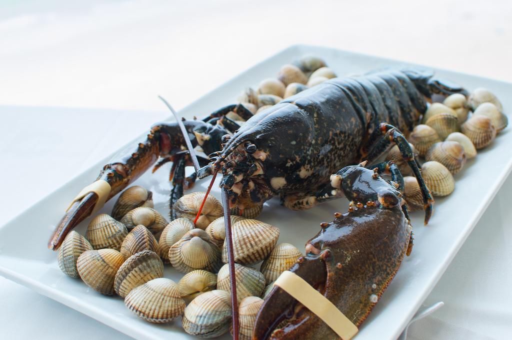 Hotel Restaurante Loureiro Bueu Dış mekan fotoğraf